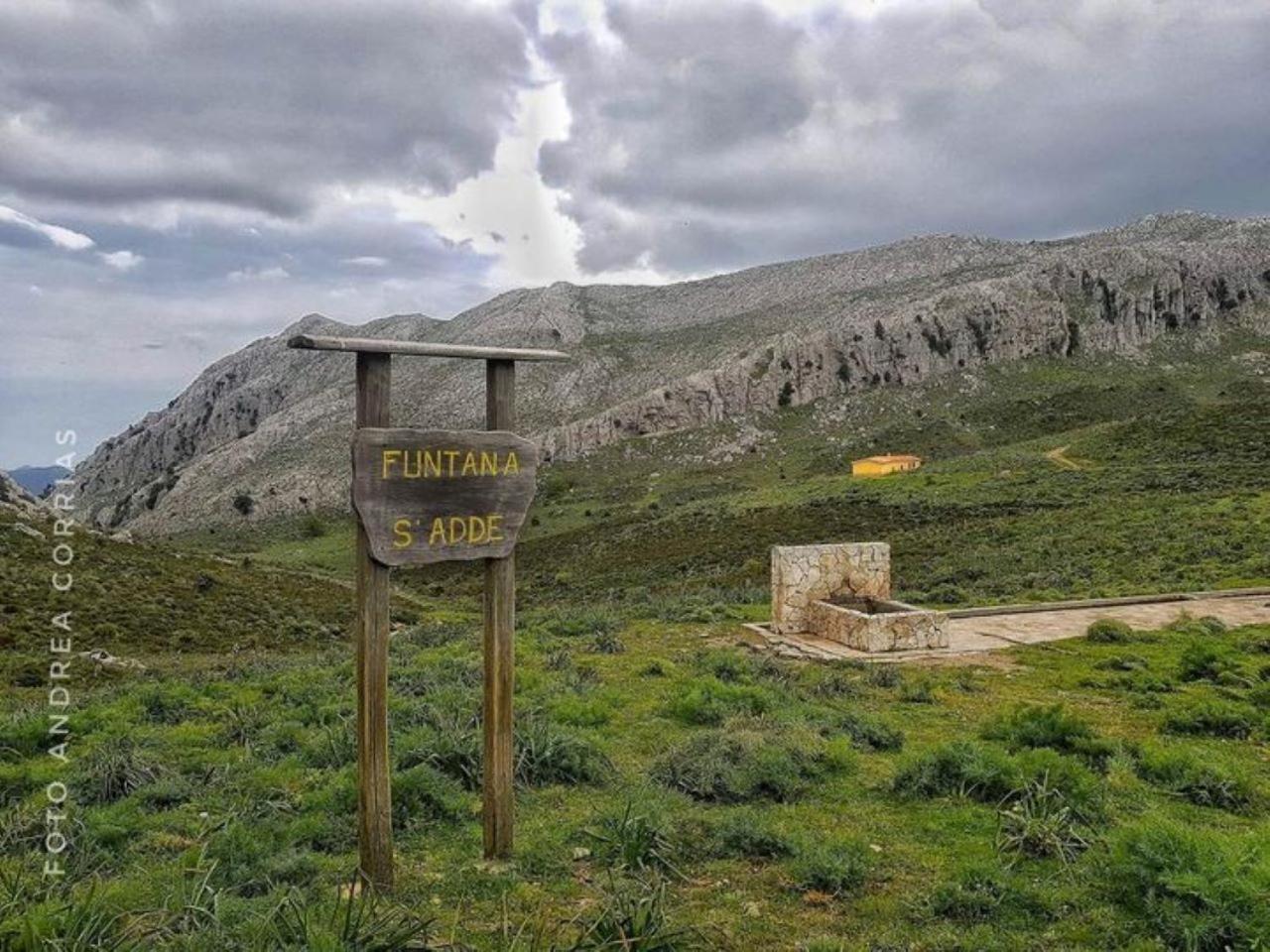 Vila Monolocale Wenge' Siniscola Exteriér fotografie